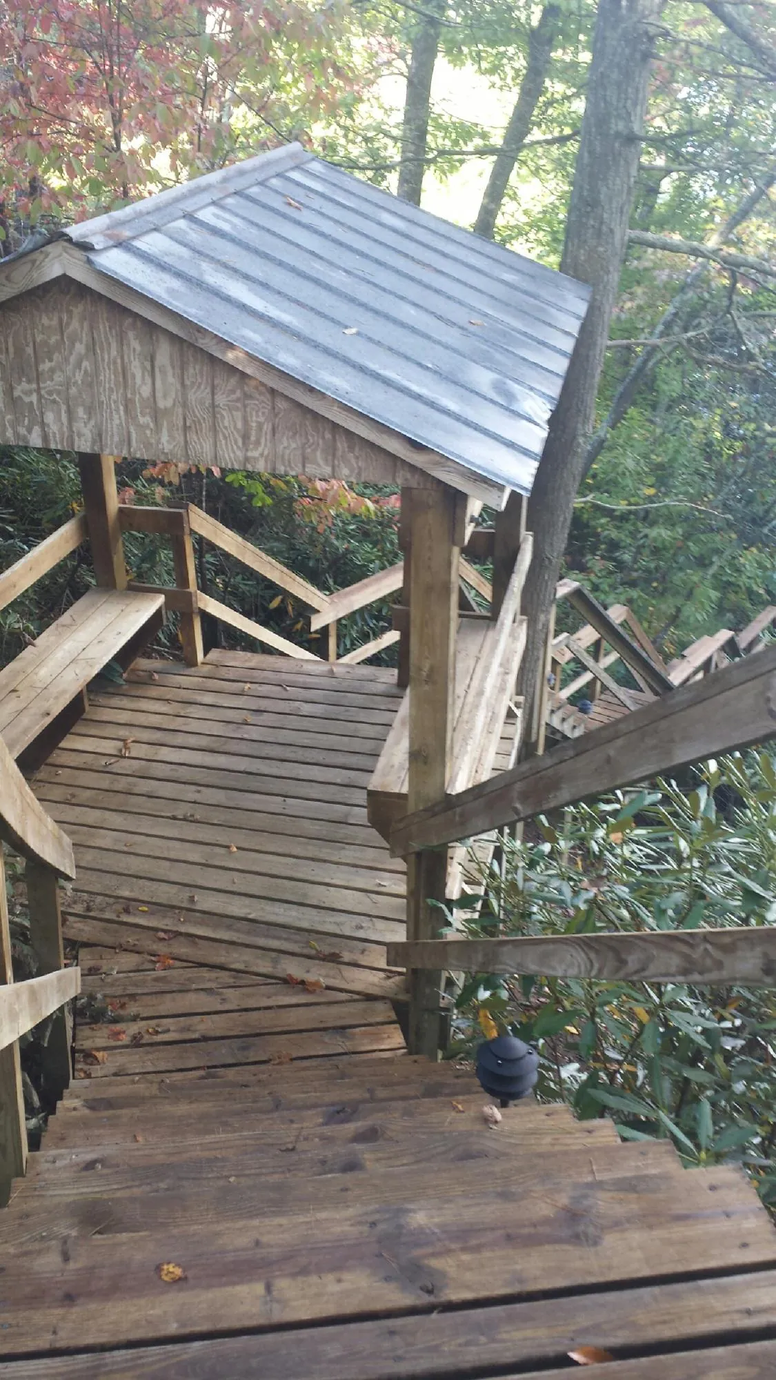 Metal roofed shelter over wooden steps on a wooded walkway — Skylight Repair & Installation work by our crew in Pinetops